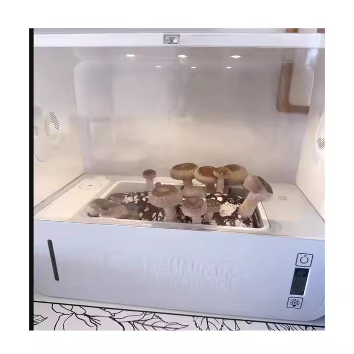 Mushroom Growing Kit Cultivation With Insulation Shed