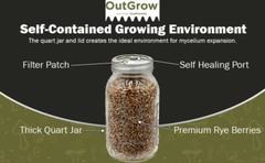 Four Quart Jars of Sterilized Rye Grains with Self Healing Injection Ports