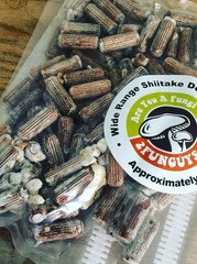 Complete Shiitake Mushroom Plug Starter Kit with Fast Fruiting Instructions