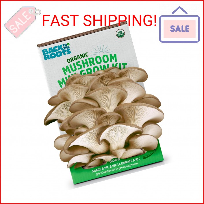 Back to the Roots Organic Mini Mushroom Grow Kit, Harvest Gourmet Oyster Mushroo