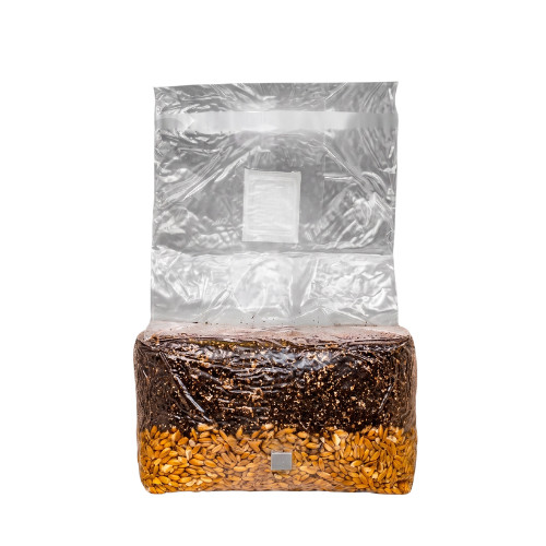 All in One Mushroom Grow Bag 5 lbs| Grow Kit | For Dung Loving Mushrooms | Easy!