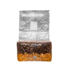 All in One Mushroom Grow Bag 5 lbs| Grow Kit | For Dung Loving Mushrooms | Easy!