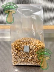 12 x one pound sterilized rye grain bags with injection ports mushroom substrate