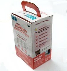 Back To The Roots Organic Pink Oyster Mushroom Grow Kit Harvest Gourmet Fungi