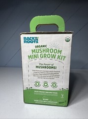 Back to the Roots Organic Mini Mushroom Grow Kit, Harvest Gourmet Oyster