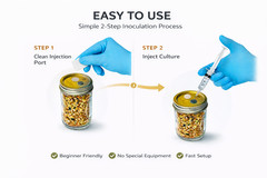 Mushroom Liquid Culture Syringe | 10mL each | Volume Pricing | Spore & Root