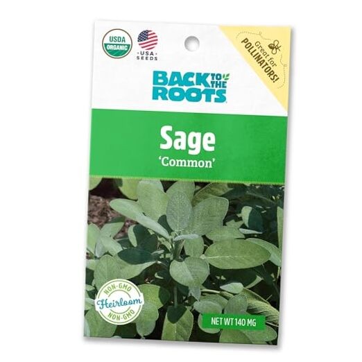 100% Organic Seed Packet – Sage ‘Common’ 140mg Herbs