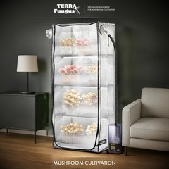 Mushroom Grow Tent with Light and Timer, 65″ x 27″ x 19″ x 65″, Transparent