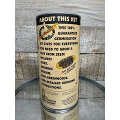 Grow Your Own Piñon Pine Tree Kit Indoor Outdoor Evergreen Edible