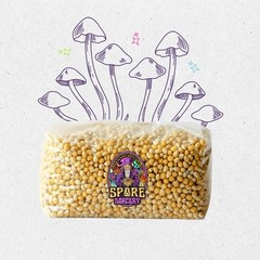 6 Pack | 5lb Drippy Corn Grain Spawn