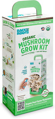 Organic Oyster Mushroom Grow Kit, Harvest Gourmet Mushrooms in 10 Days