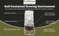 All in One Mushroom Grow Bag (2 Pack)
