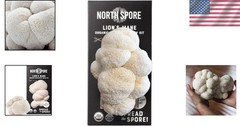 Organic Lion’s Mane Mushroom Grow Kit 4 lbs – USDA Certified, Easy & Compact