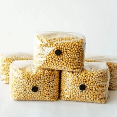 6 Pack | 3lb Drippy Corn Grain Spawn