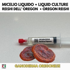 Ganoderma Oregonense Reishi Oregon Liquid Culture 10ml Premium Mushrooms