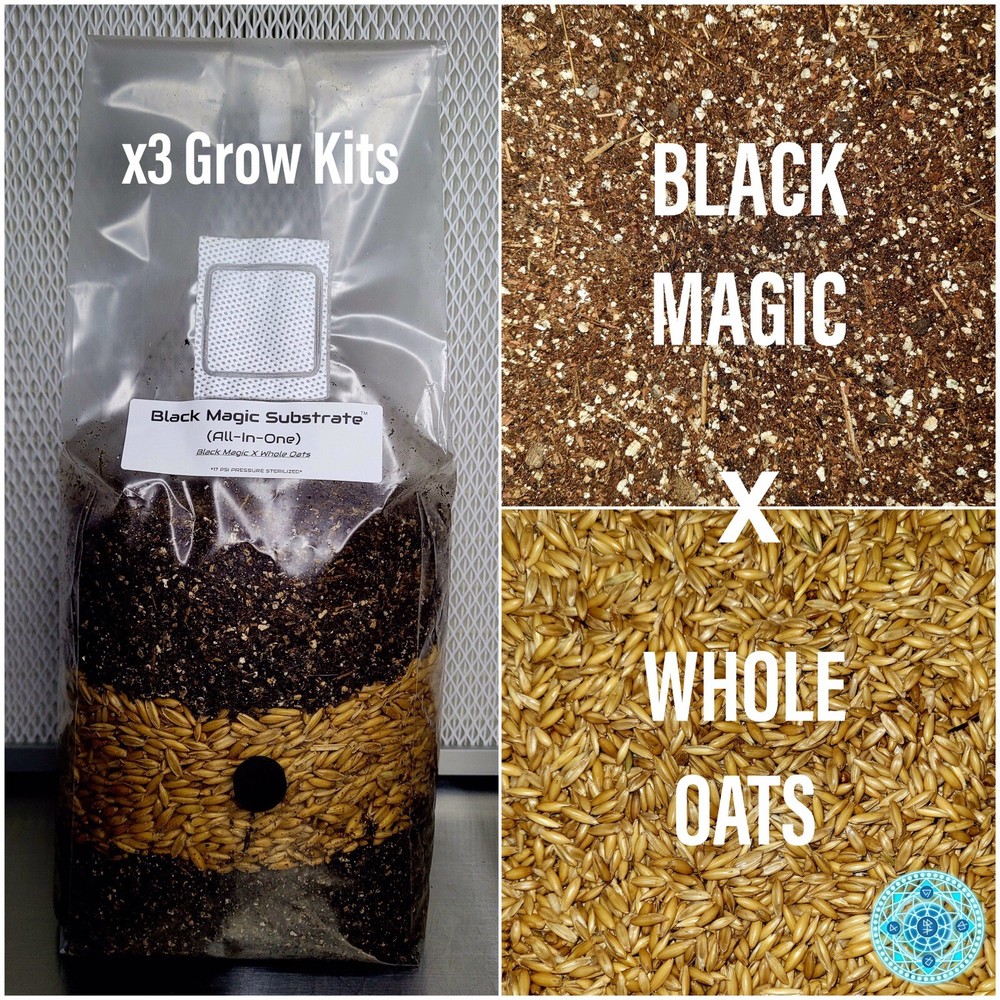 Premium Exotic Dung ALL-IN-ONE Mushroom Grow Kit 3 Pack Kit 5lb Bag