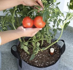 New Back to the Roots Charcoal Grey Self-Watering Fabric Garden Pot
