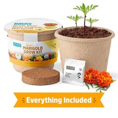 Organic Marigold Flower Grow Kit with Plantable Starting Marigold Flower Kit