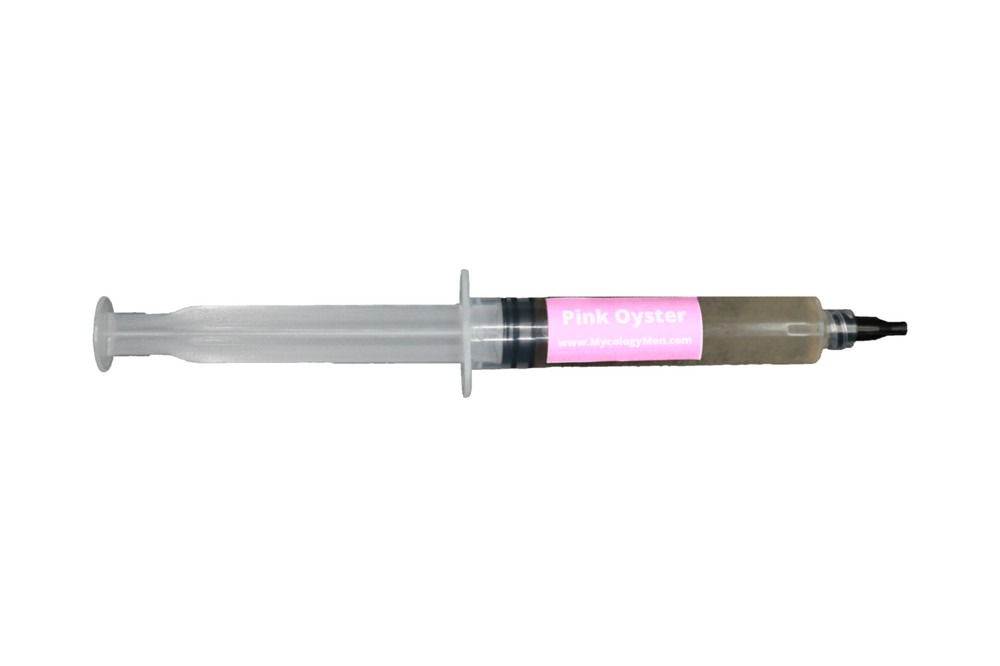 Premium Mushroom Liquid Culture Syringe | Pink Oyster (Pleurotus djamor)