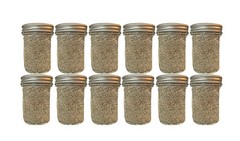 BRF Jars Mushroom Substrate Organic Magical Grow Kit
