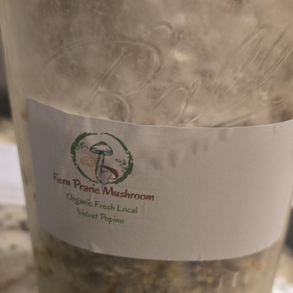 Fern Prairie Mushroom Velvet Popino White Mushroom – Velvet Popino Variety 32 Oz