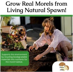 Grow Kit Morel Mushrooms – Organic Morel Mushroom Growing Kit
