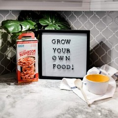 Back to the Roots Organic Pink Mushroom Grow Kit, Harvest Gourmet Mushrooms I…