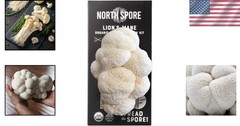 Organic Lion’s Mane Mushroom Grow Kit 4 lbs