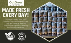 8 X Mini All In One Mushroom Grow Bags