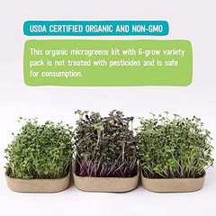 DIY Microgreen Grow Kit – 6 Variety Pack for Home Gardening & Healthy Eating