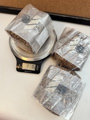 3 Pack Sterile Grain Bags For Growing Mushrooms