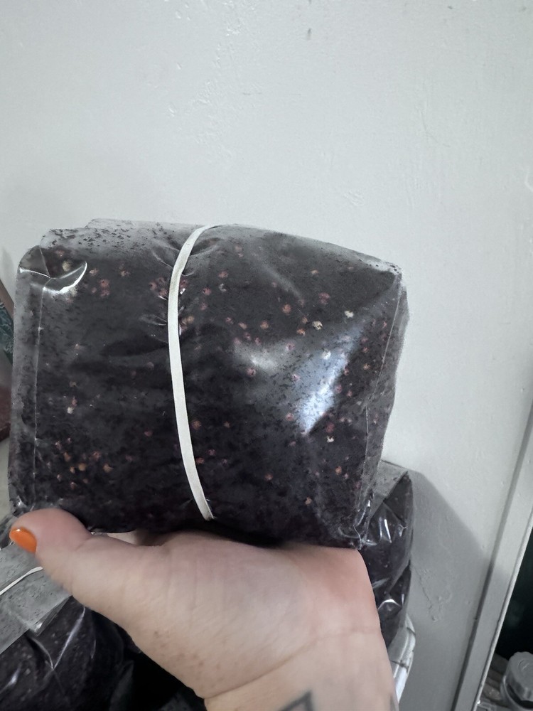 All-in-one mushroom grow bag – Coco