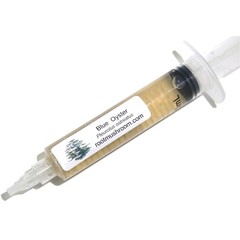 Active 10cc Blue Oyster Mushroom Culture – Perfect for Hobby & Commercial Use