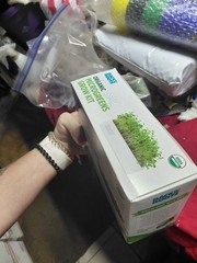 Back to the Roots Organic Microgreens Grow Kit.