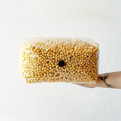 6 Pack | 5lb Drippy Corn Grain Spawn