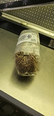 3 Pound Sterilized Grain Bags For Mushroom Cultivation