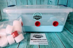 Premium 15-Quart Modified Monotub for Mushroom Cultivation🍄