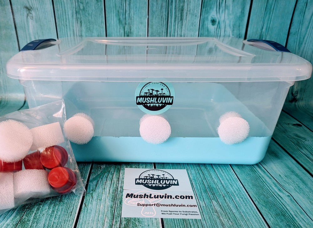 Premium 15-Quart Modified Monotub for Mushroom Cultivation🍄