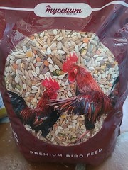 Mushroom Growing Grain Spawn Millet Gypsum Substrate 20lb By Mycelium; Bird Seed