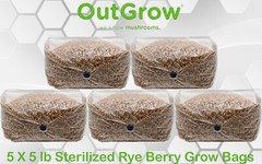 Sterilized Rye Berry Grow Bag (25lbs)