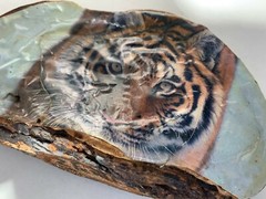 vtg bengal tiger Conk Shelf MUSHROOM Folk Art retro cat tree fungus decoupage