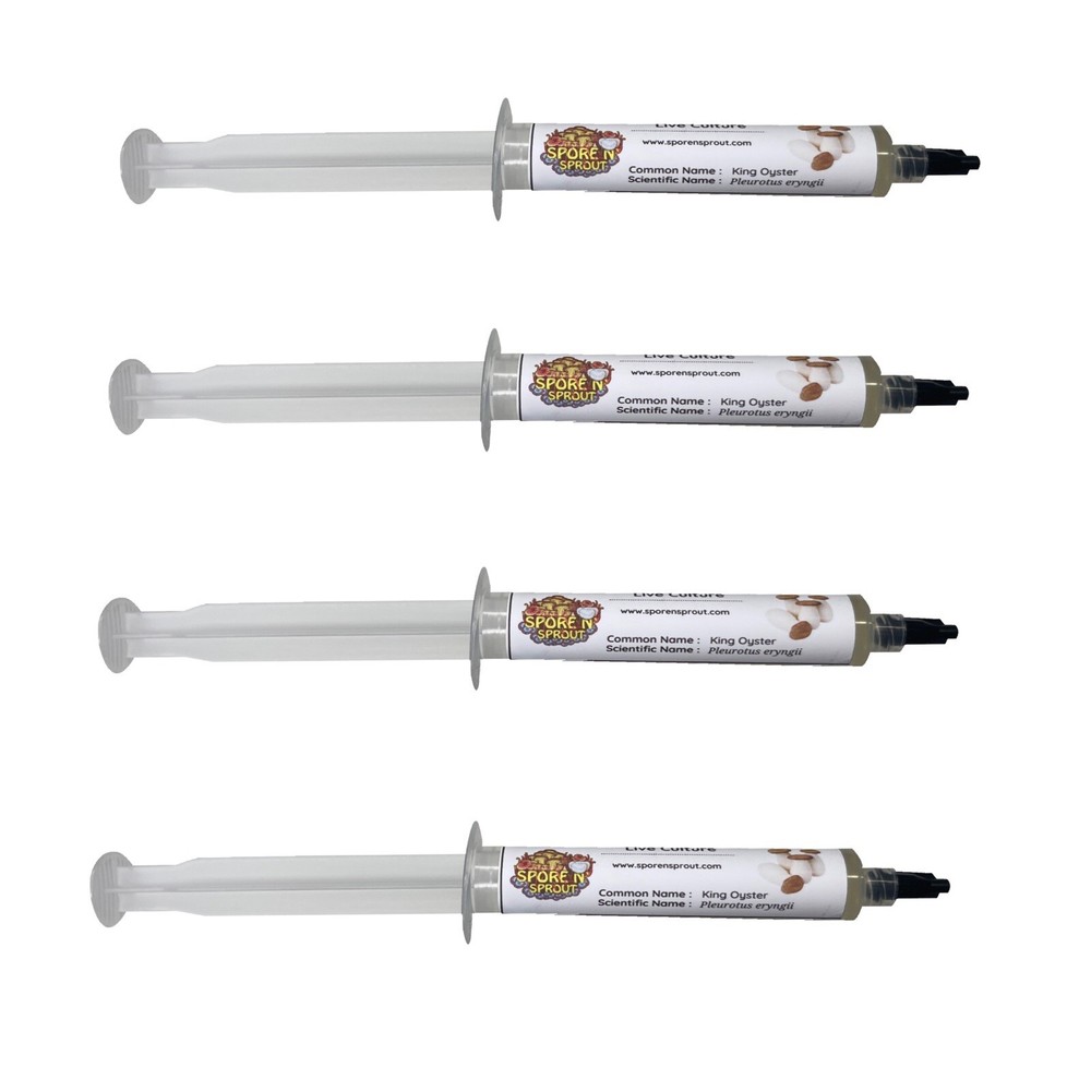 4 Pack KING OYSTER Gourmet Mushroom Liquid Culture