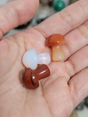 Mini Mushrooms