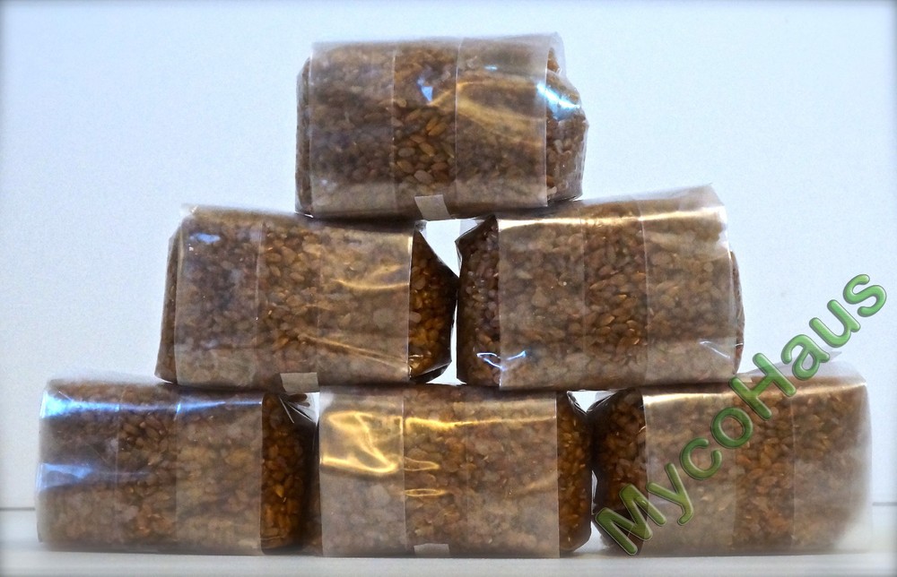 12 x one pound sterilized rye grain bags with injection ports mushroom substrate