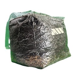 XL 5 Lb Aio Grow Bag – Mushroom Grow Kit