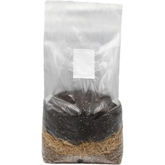 All-In-One Mushroom Grow Bag (40lbs)