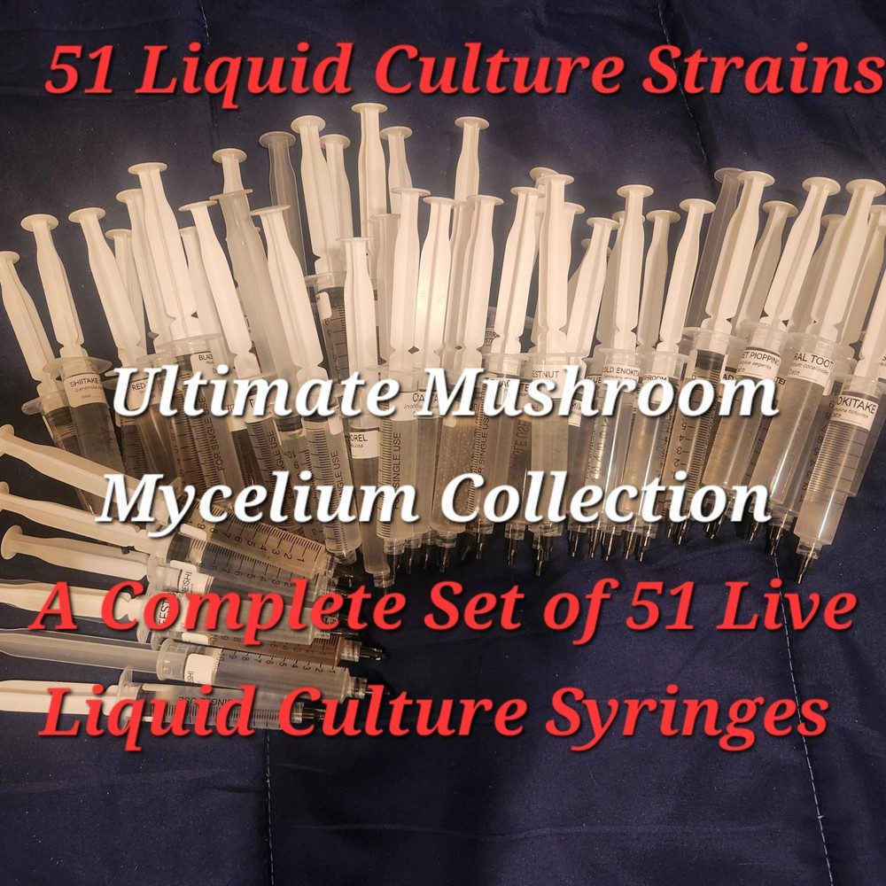 51 Culinary Mushroom Liquid Culture Mycelium Syringes, 10 ml Each
