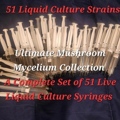 51 Culinary Mushroom Liquid Culture Mycelium Syringes, 10 ml Each