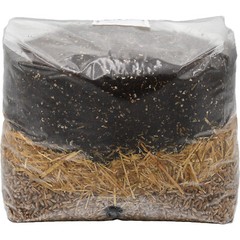 All-In-One Mushroom Grow Bag (40lbs)
