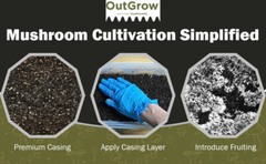 Mushroom Substrate Casing Soil ( 10 One Pound Bags)